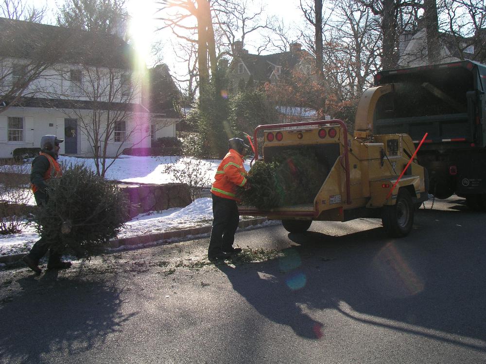 Community Services Operations 5